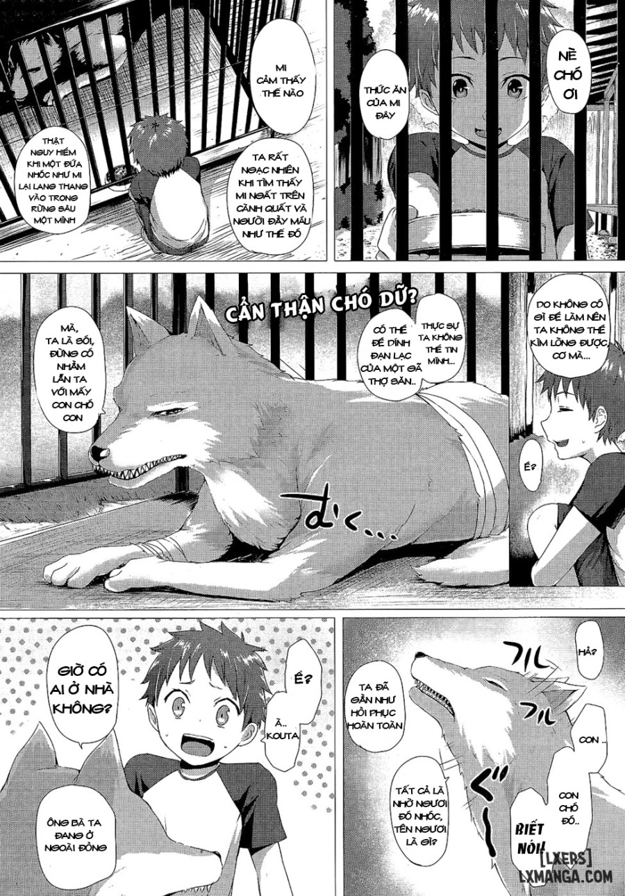 Chronicle of a Heisei Pleasuring Wolf 