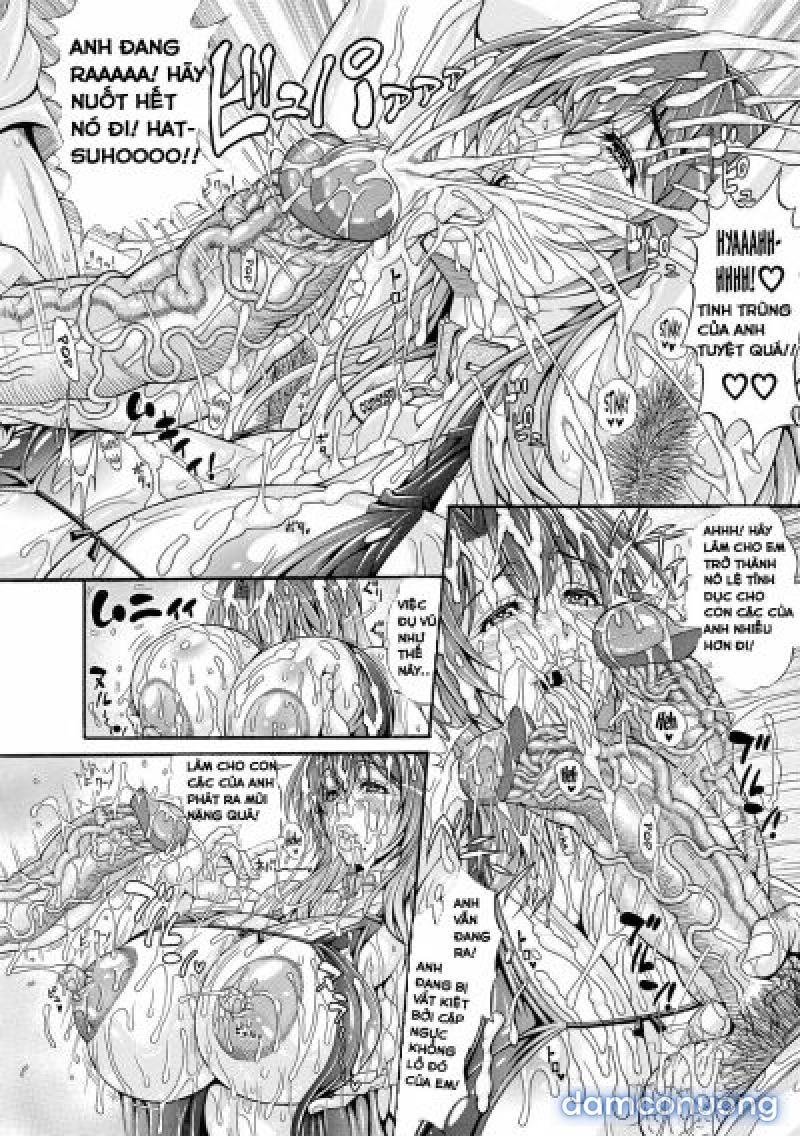Hatsuho no Onegai 