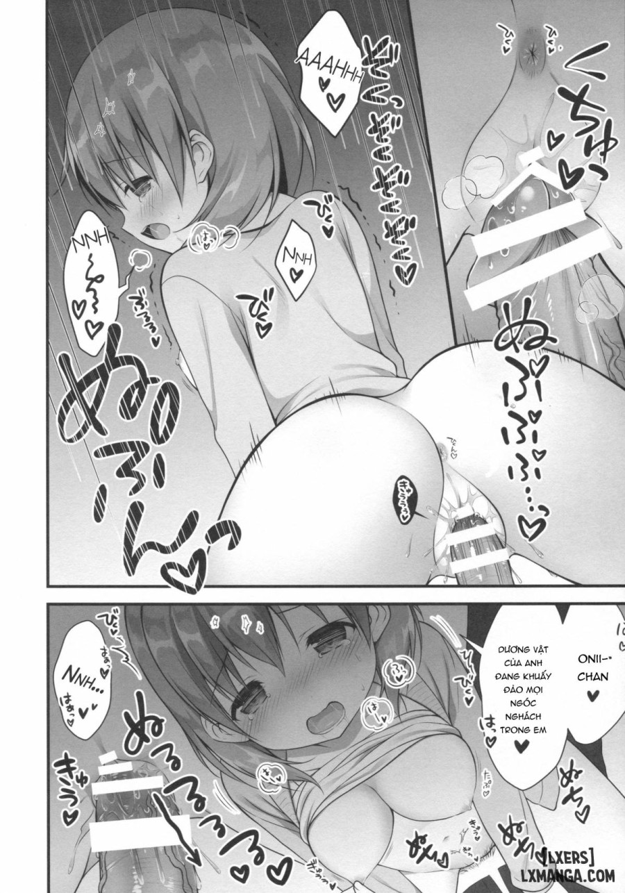 Chino-chan wa Goshuushin 