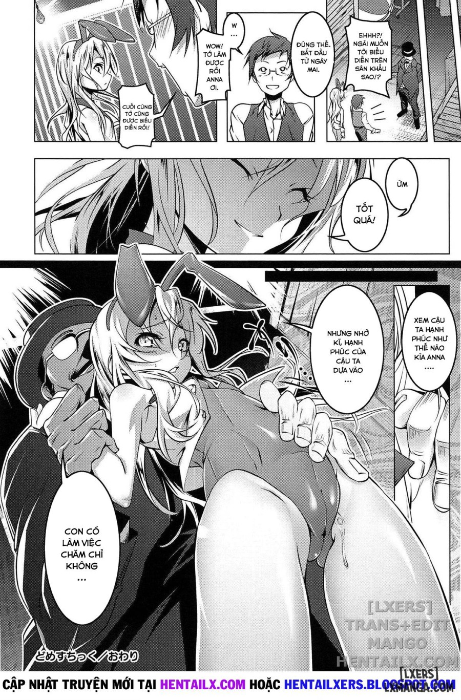 Domestic 