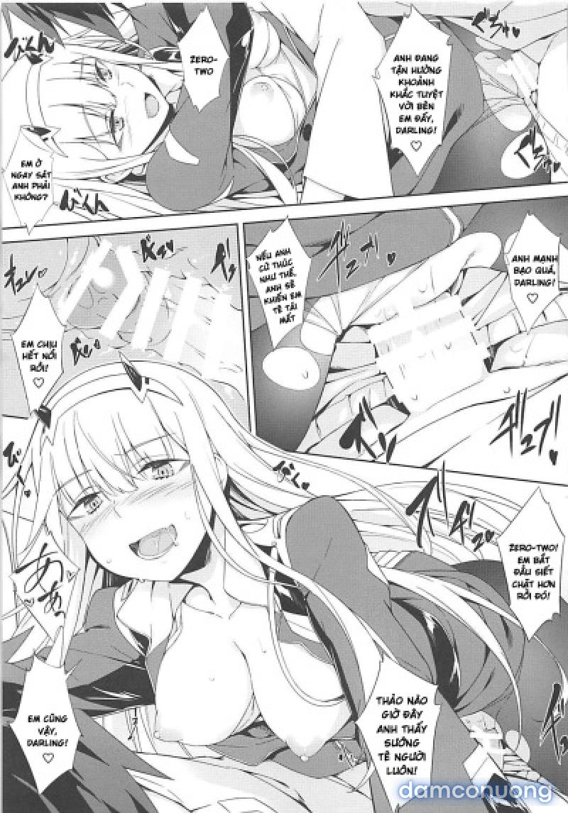 Darling Escort 