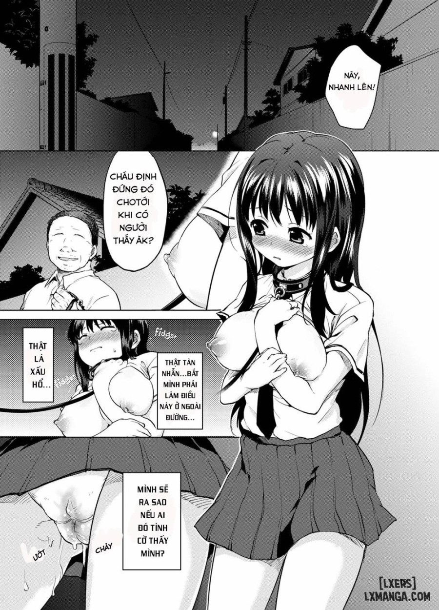 Chii-chans Development Diary 