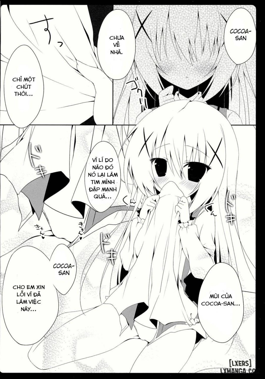 Cocochino 