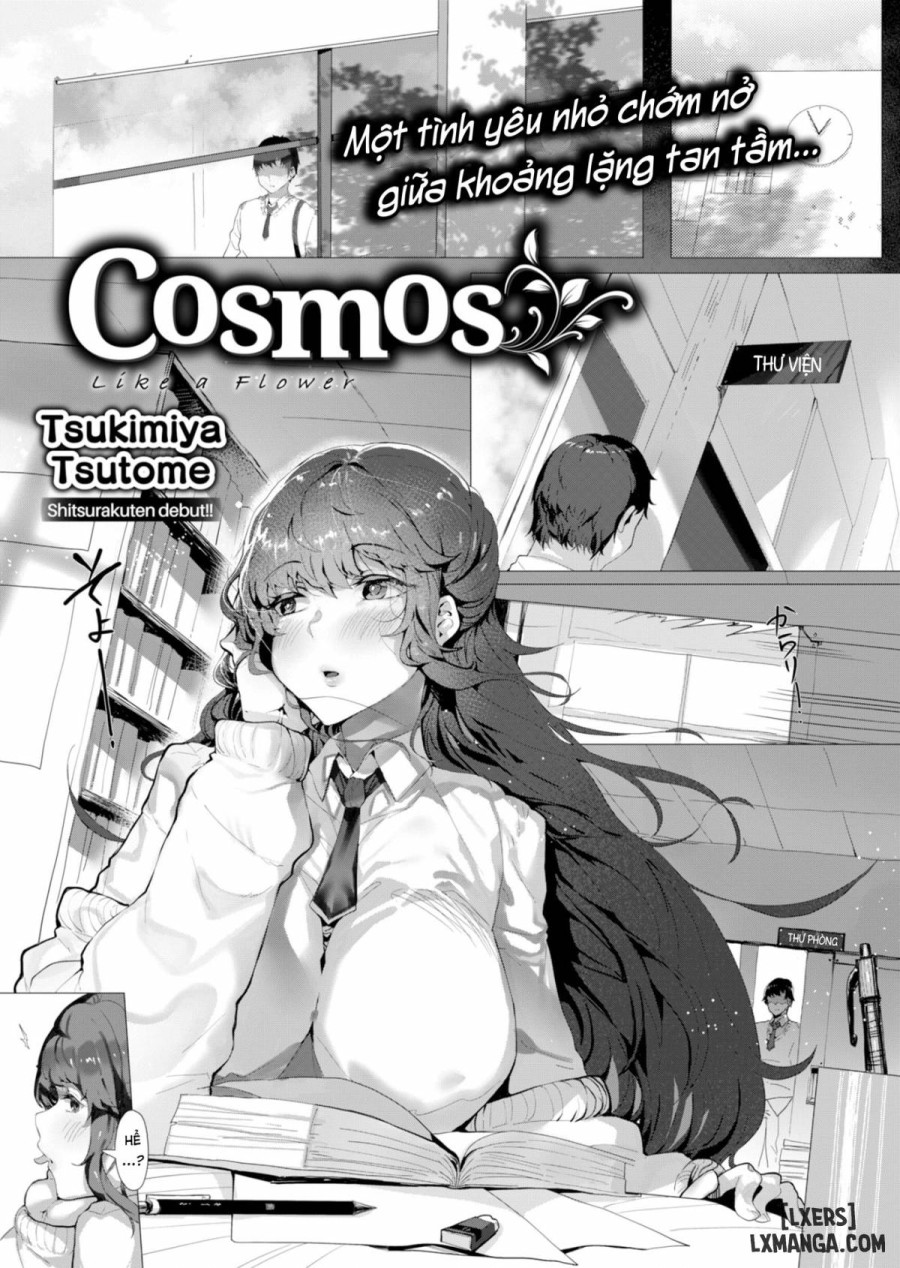 Cosmos 
