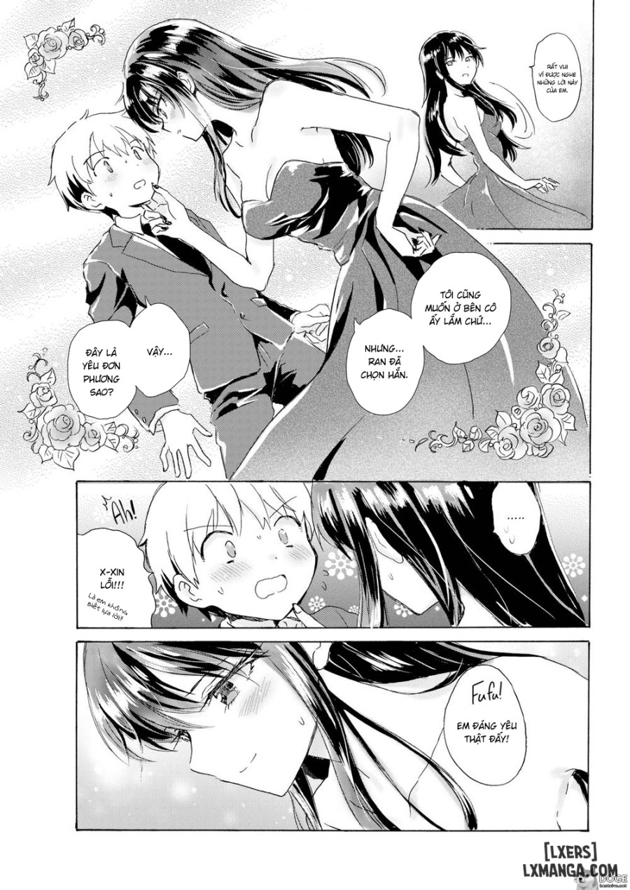 Camellia 