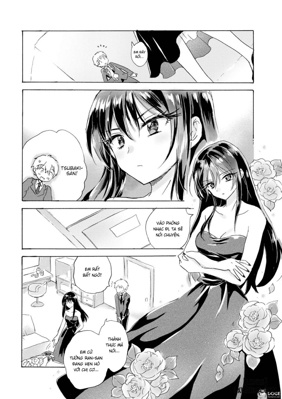 Camellia 