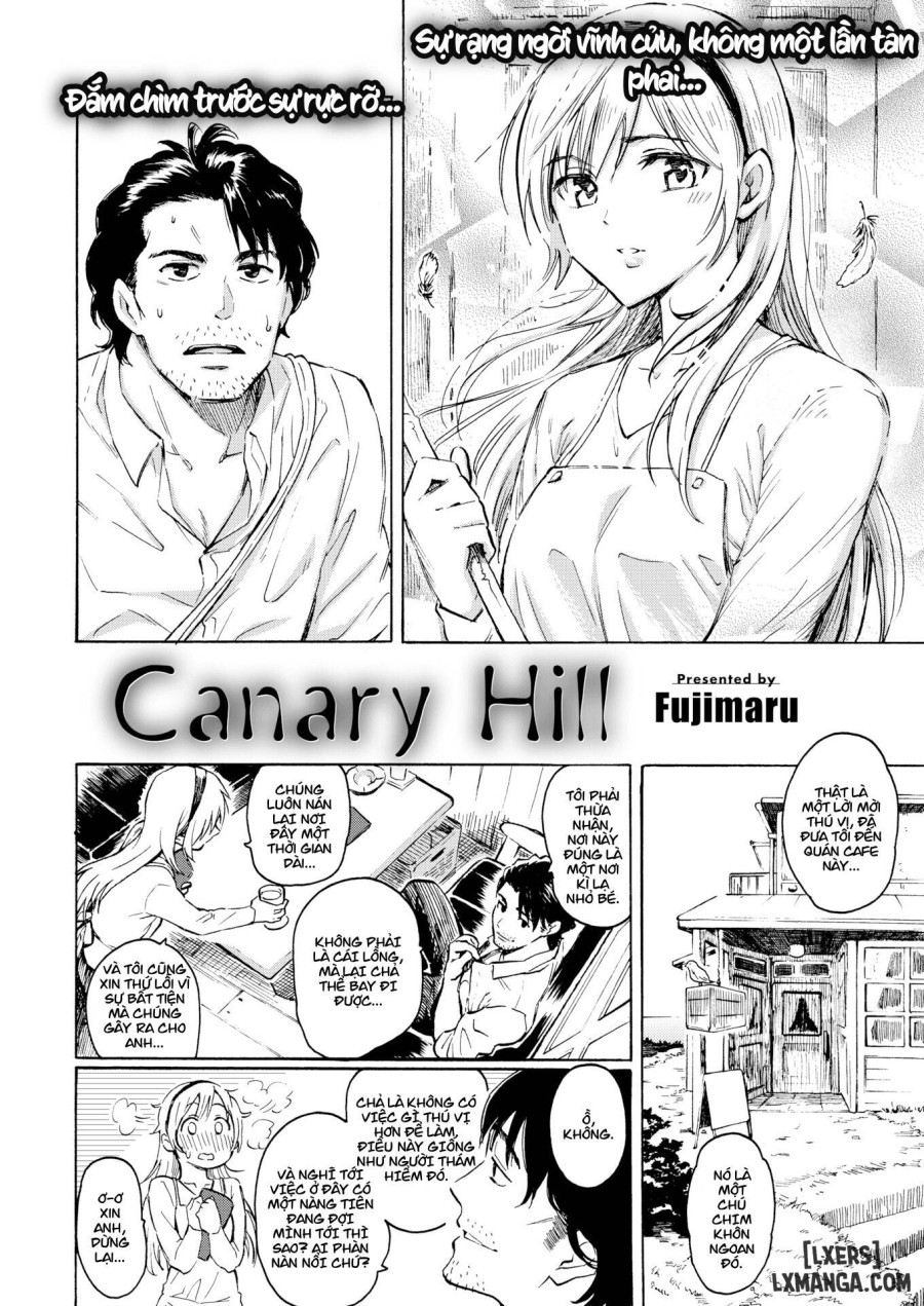 Canary Hill 