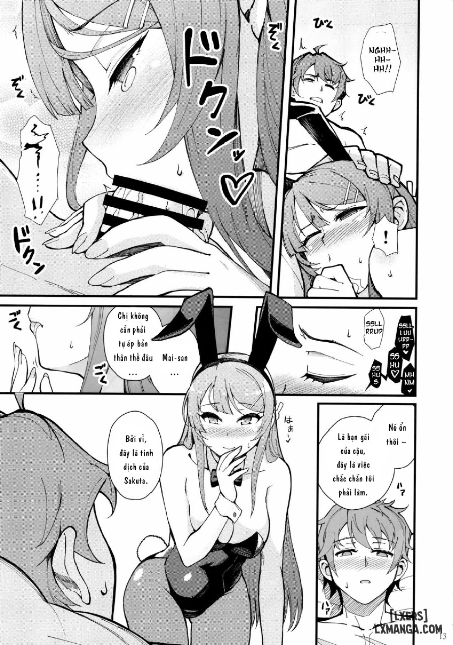 Bunny Lovers 