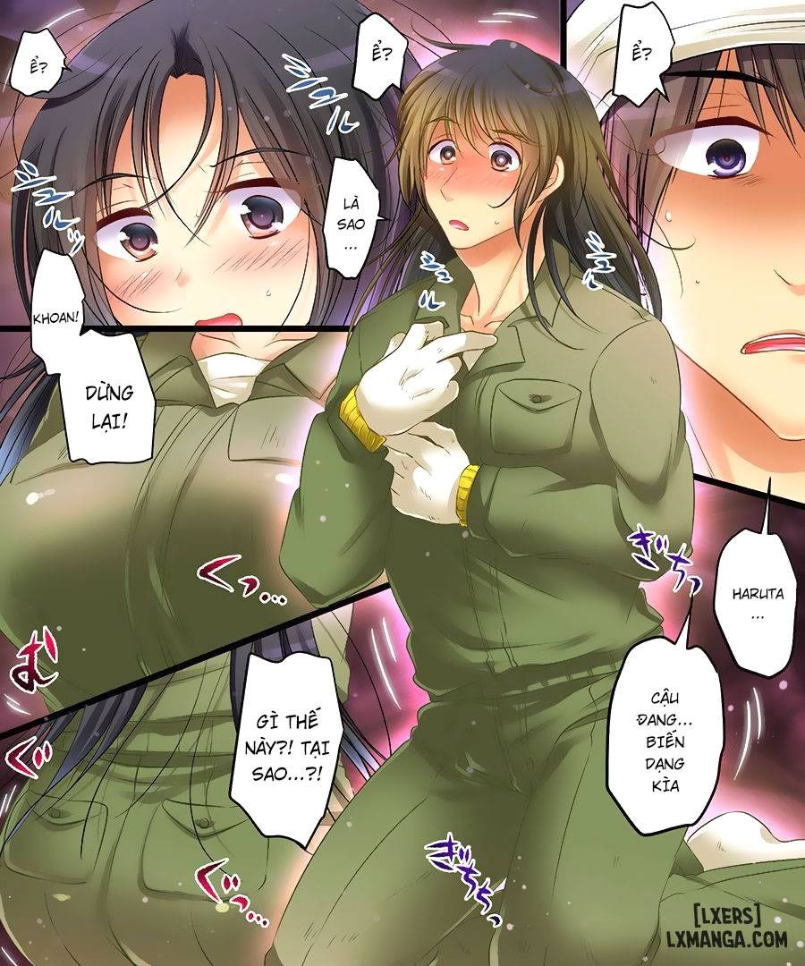 Bachelor Hina Doll Curse 