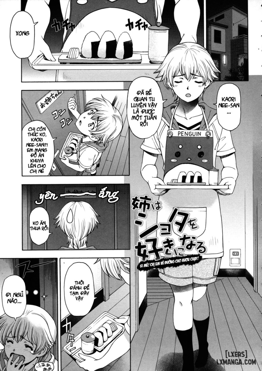 Ane wa Shota wo Sukininaru 