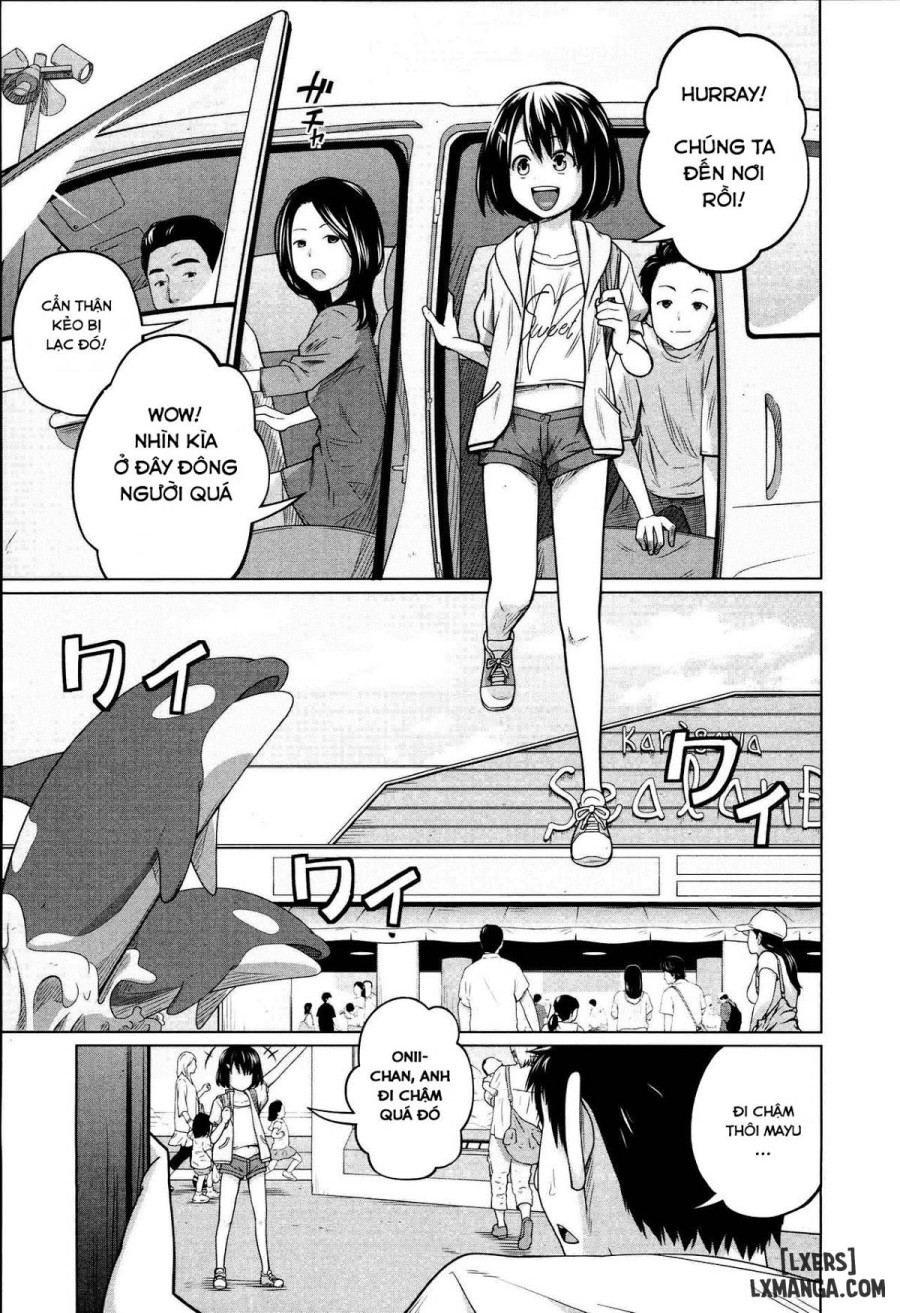 Aneito Imouto 