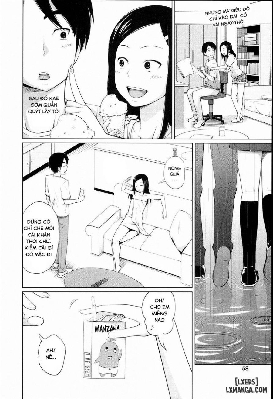 Aneito Imouto 