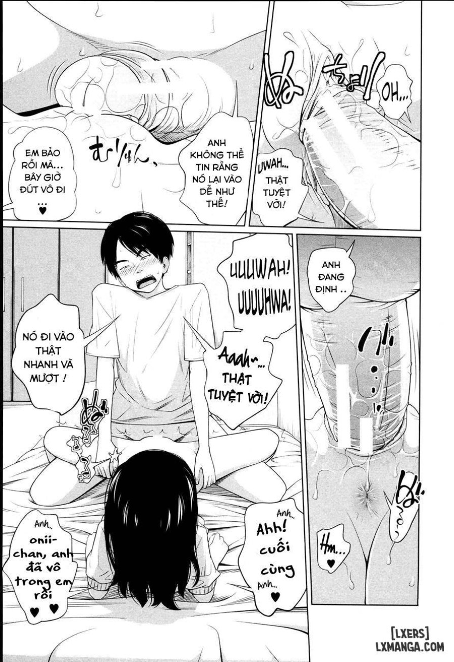 Aneito Imouto 