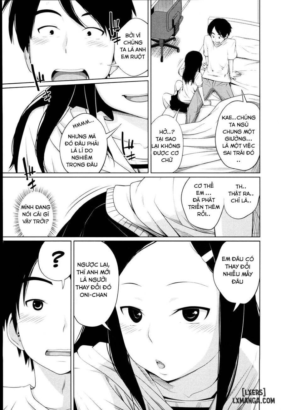 Aneito Imouto 