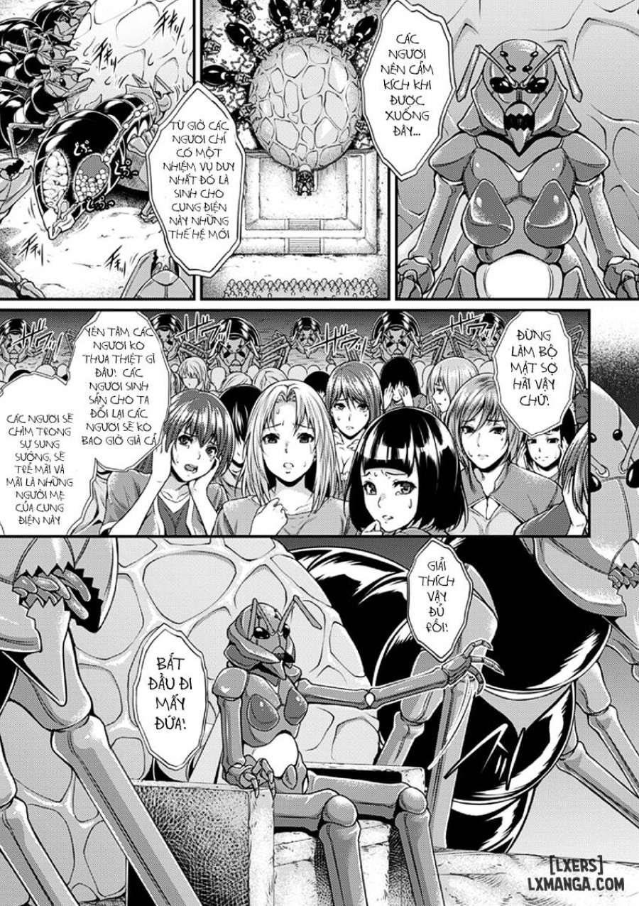 Arisu 