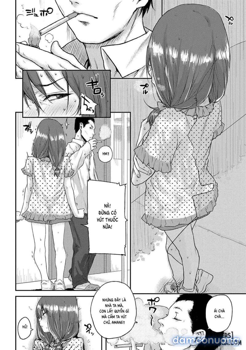 Amayadori 