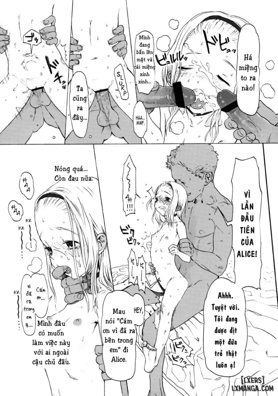 Alice Complex 
