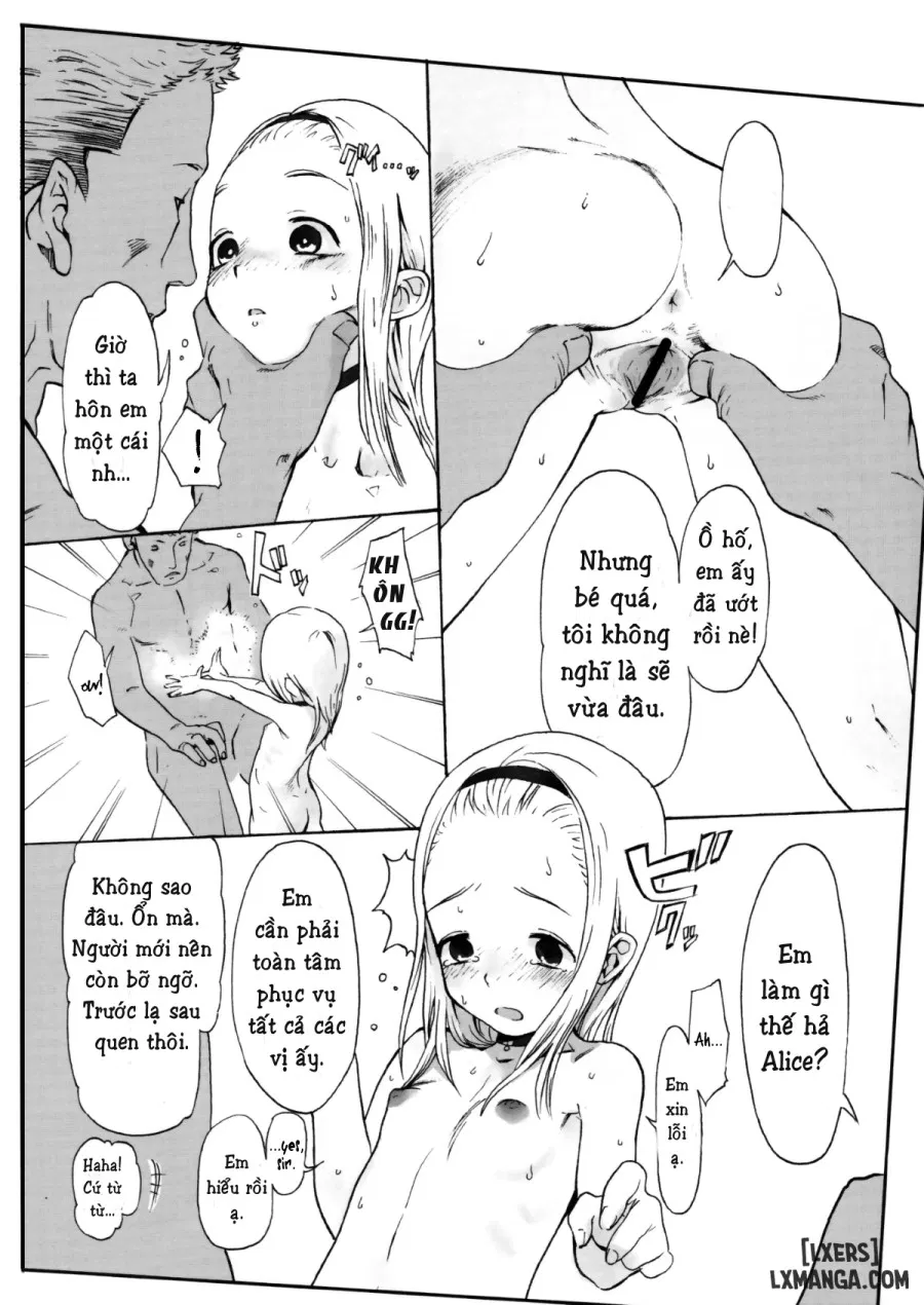 Alice Complex 