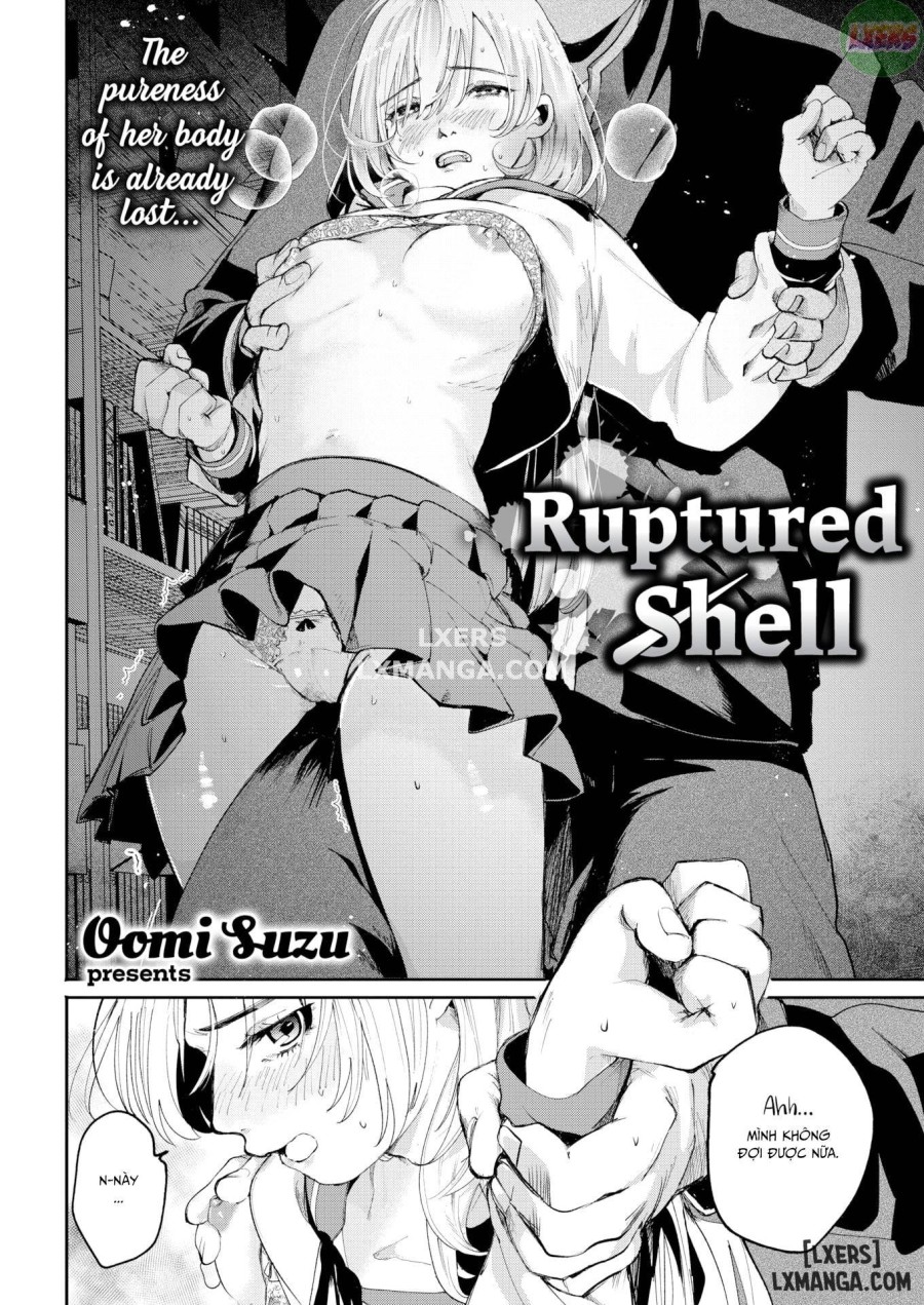Ruptured Shell 