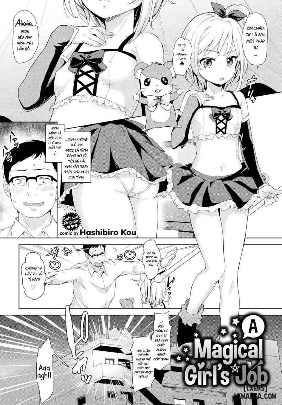 A Magical Girl's Job 