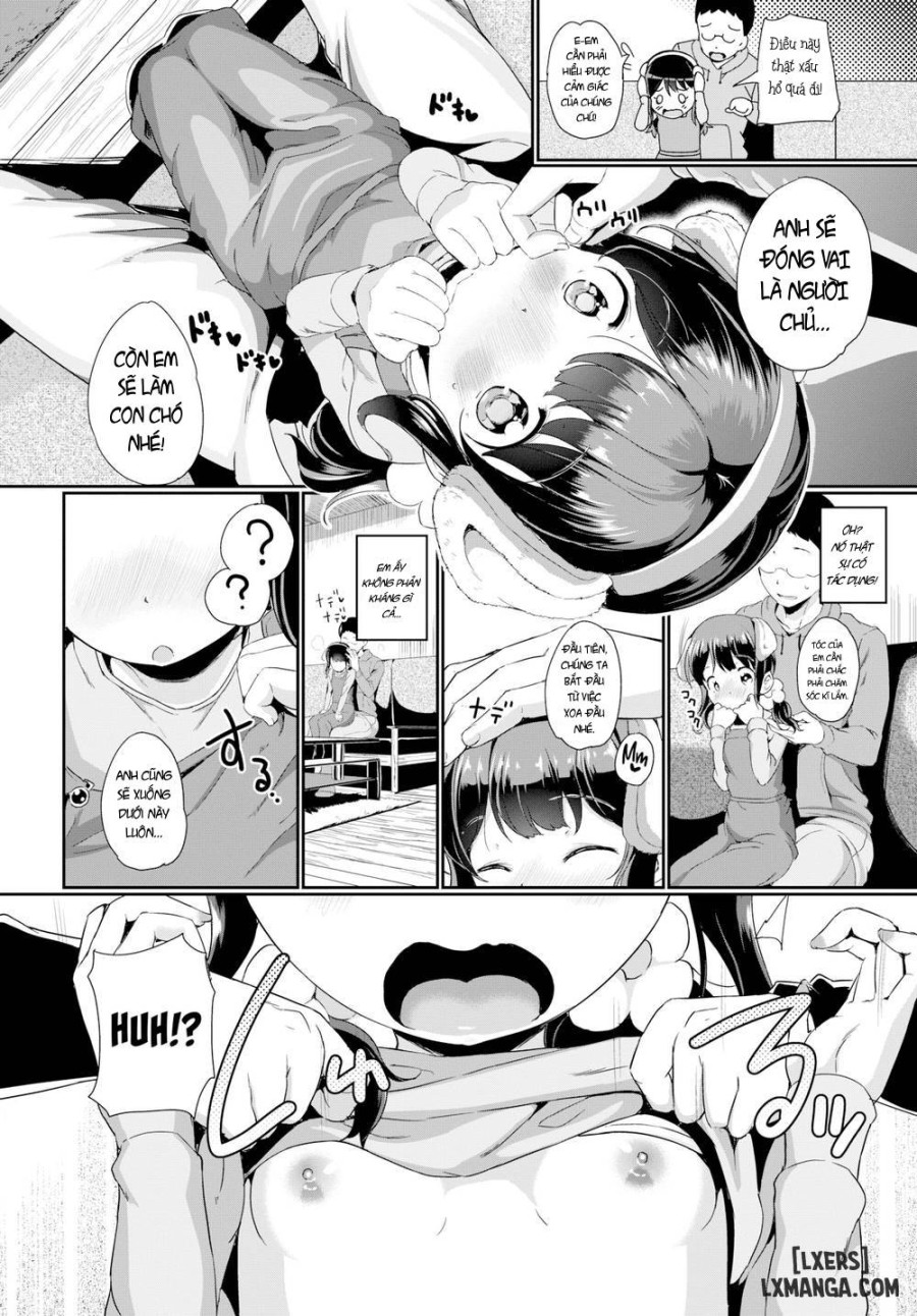 A Pet's Feelings 