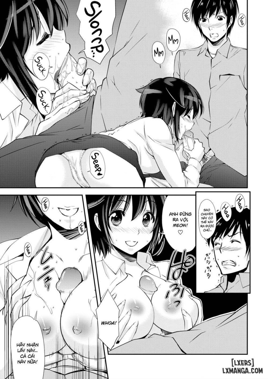 A Cat Night 