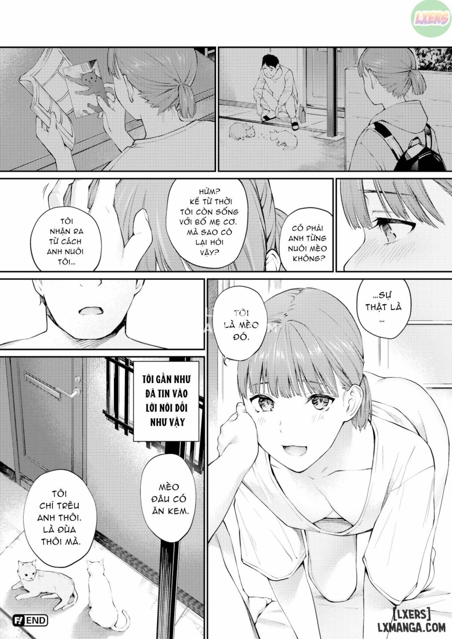 Stray Girl 