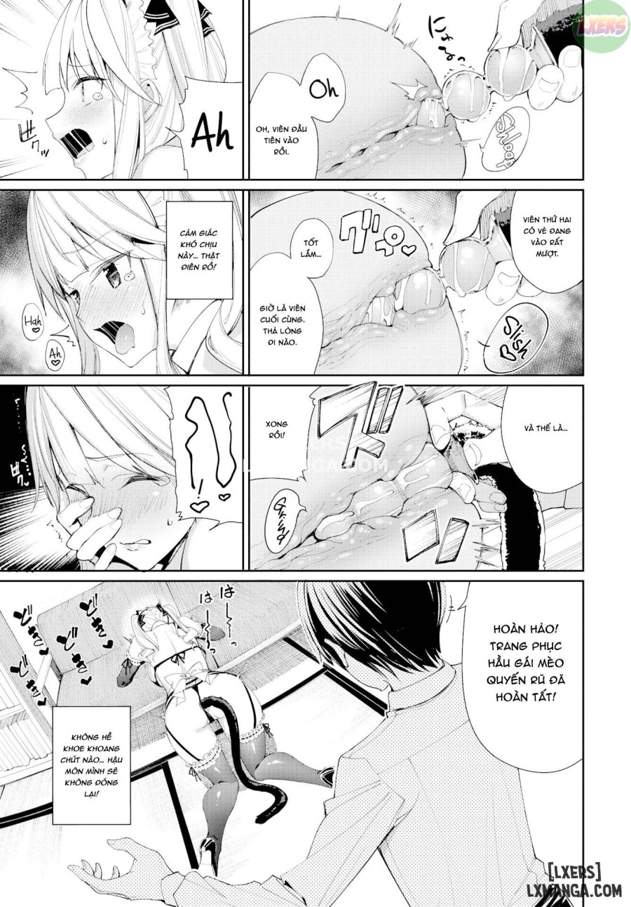 Hầu Gái Mèo & Bạn Gái Tsundere 