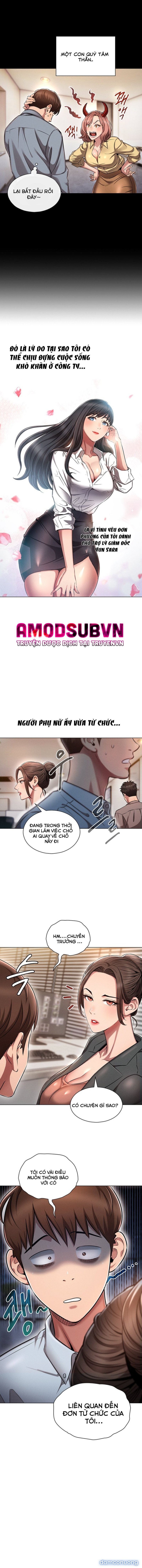 Luật Luân Hồi 
