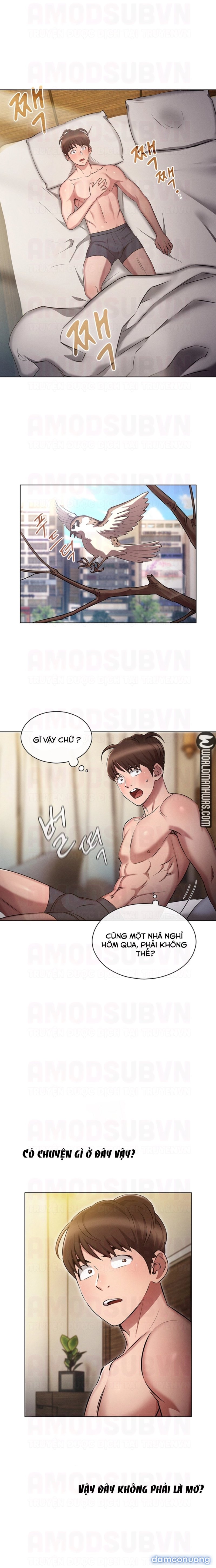 Luật Luân Hồi 
