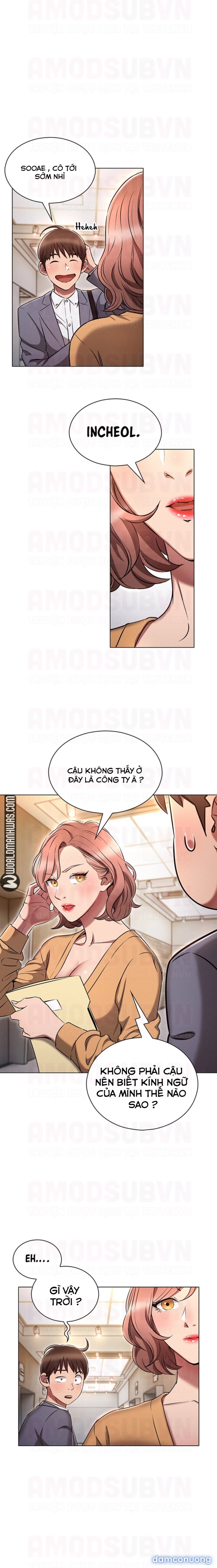 Luật Luân Hồi 