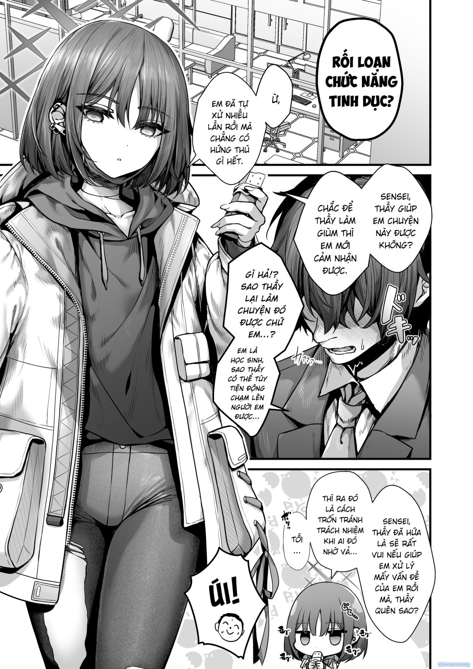 Mèo hoang lạc lối 