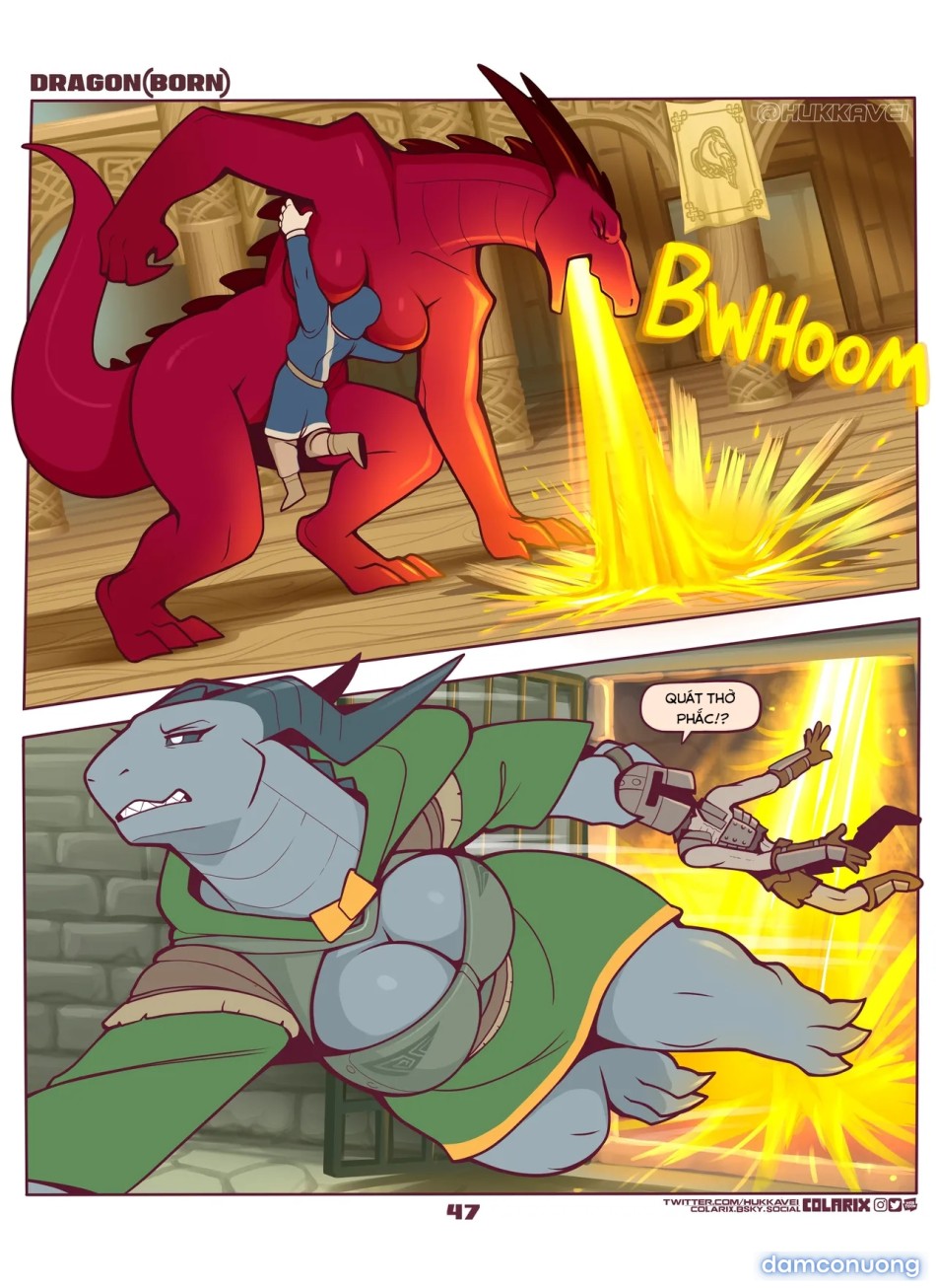 Dragon(born) 