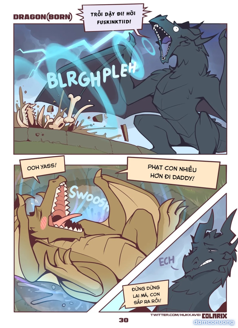 Dragon(born) 