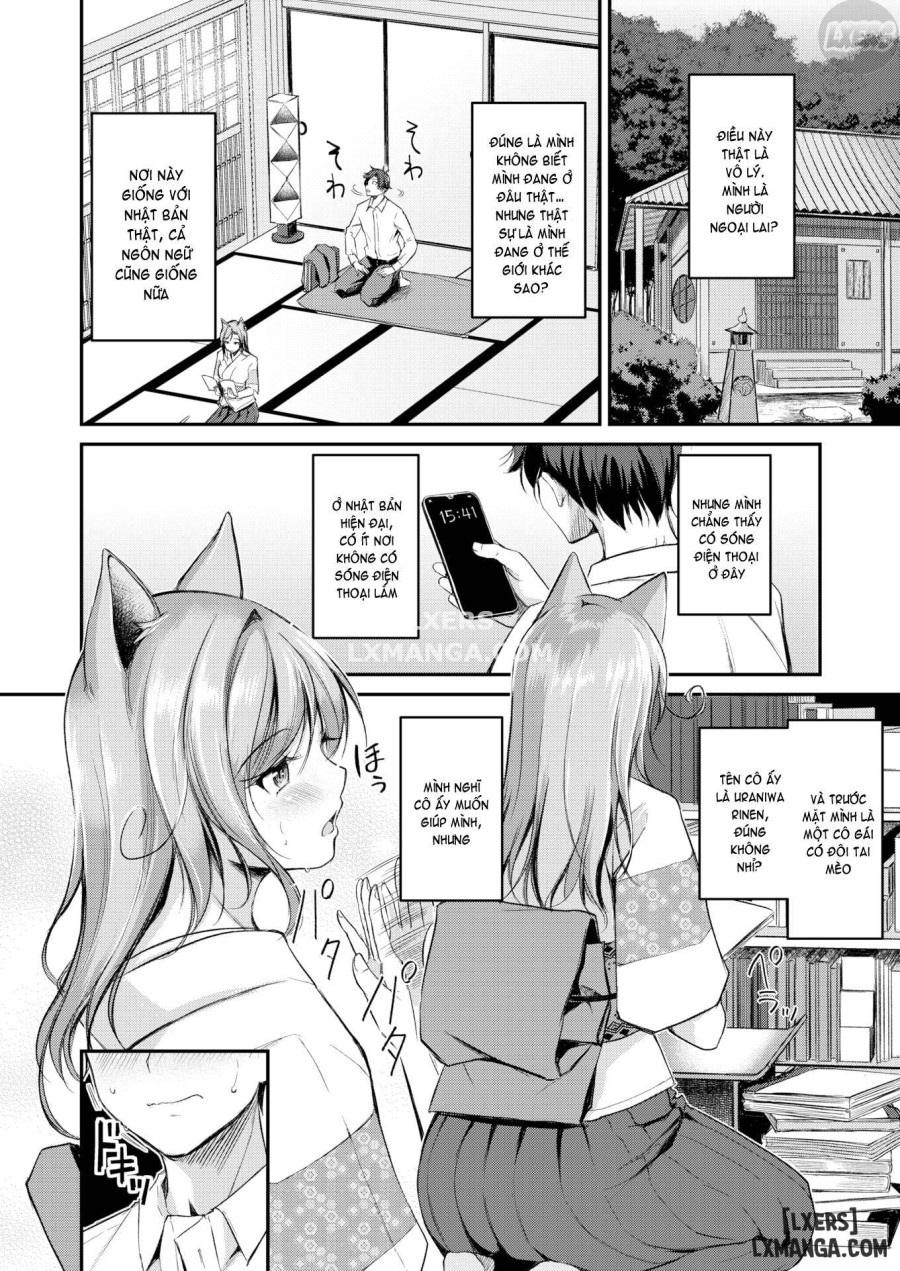 Animal-Eared Fortune Teller 