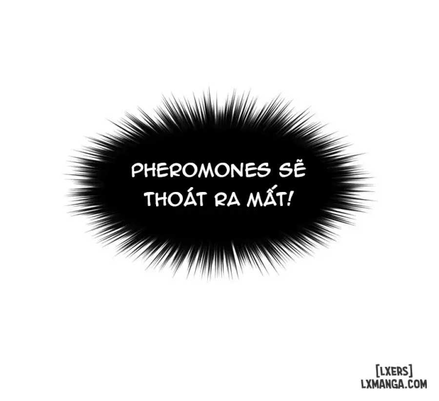 Pheromone Kỳ Diệu 