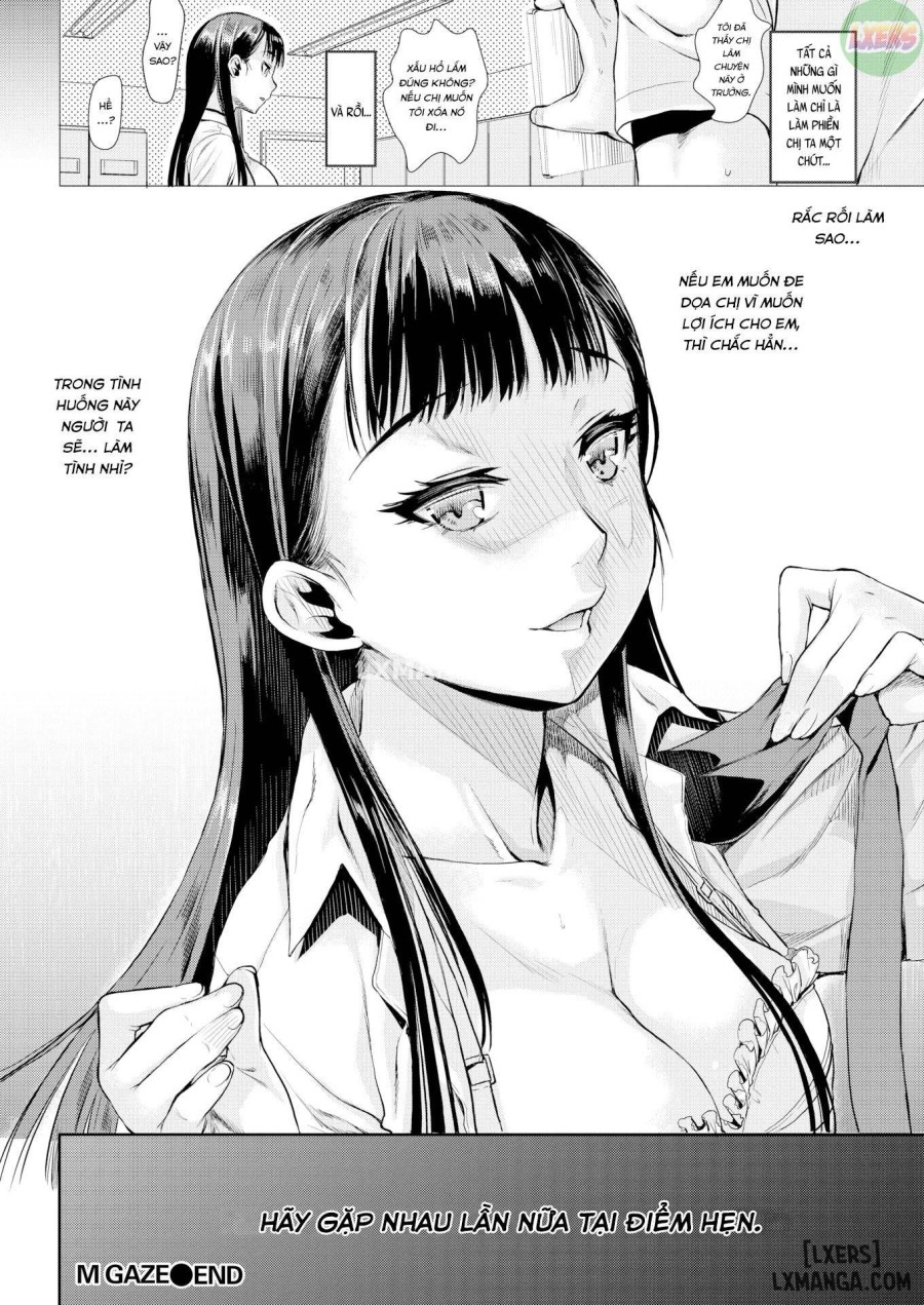 M Gaze 