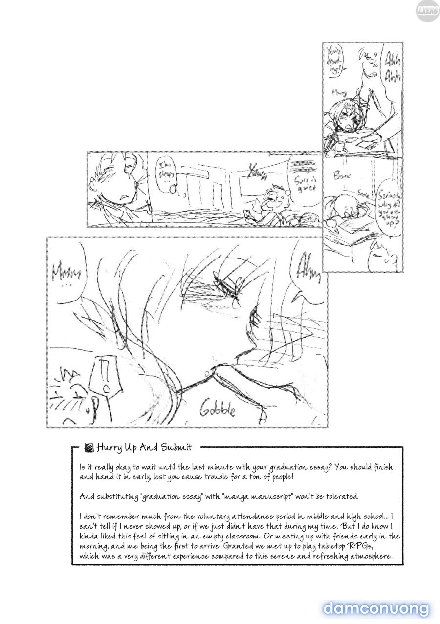 Vanilla Essence 
