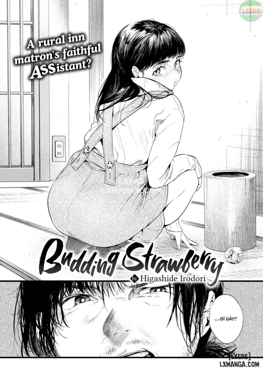 Budding Strawberry 