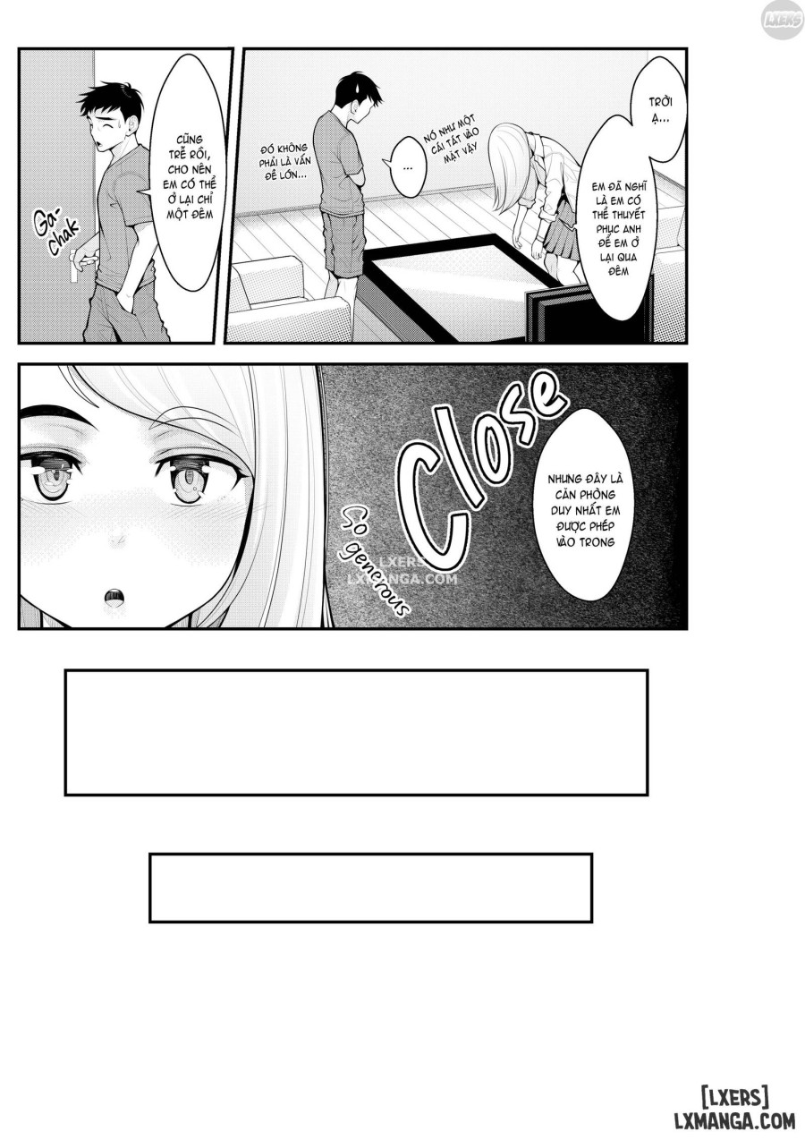 Stray Gyaru Harem 