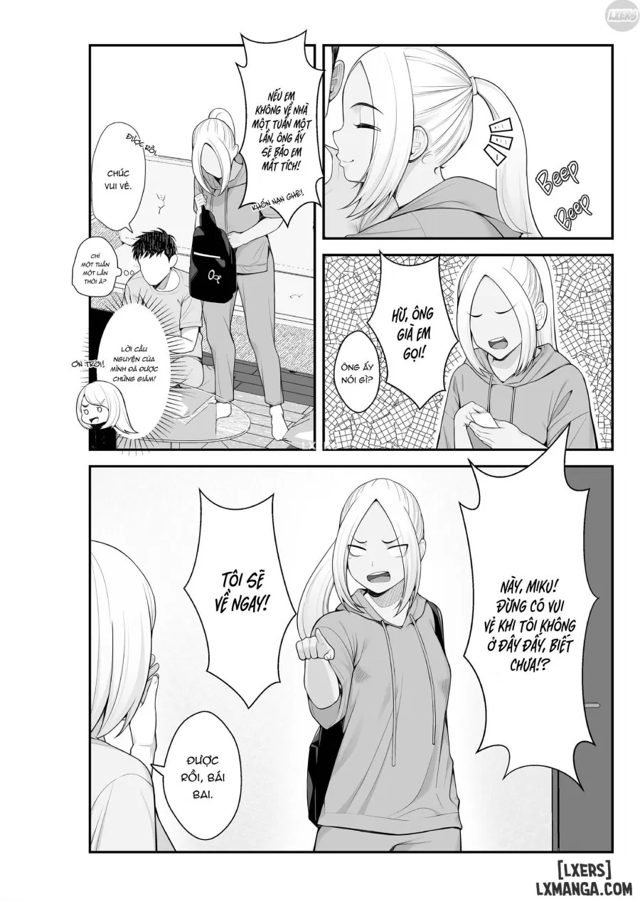 Stray Gyaru Harem 