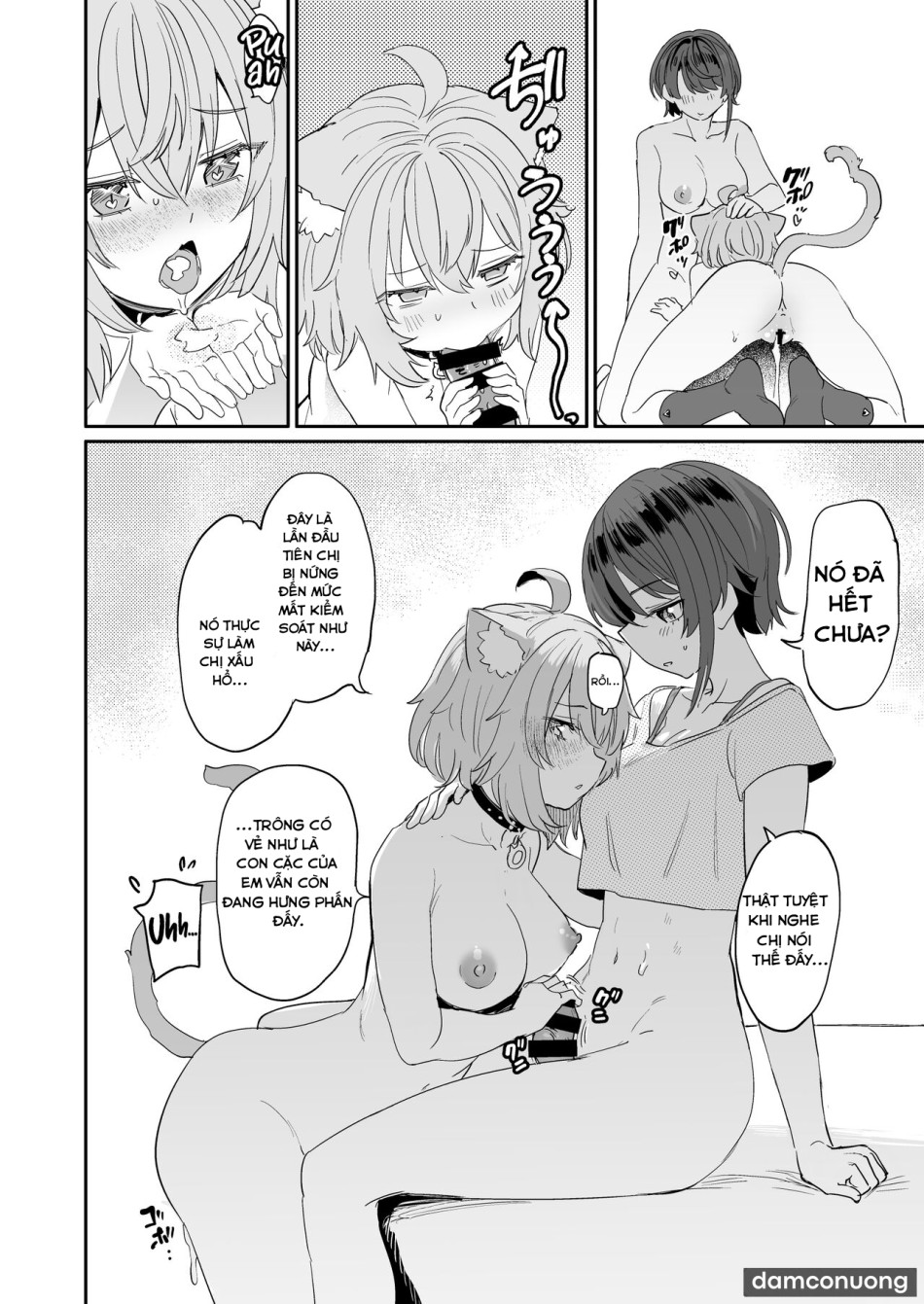 Super Estrus Danger Zone 
