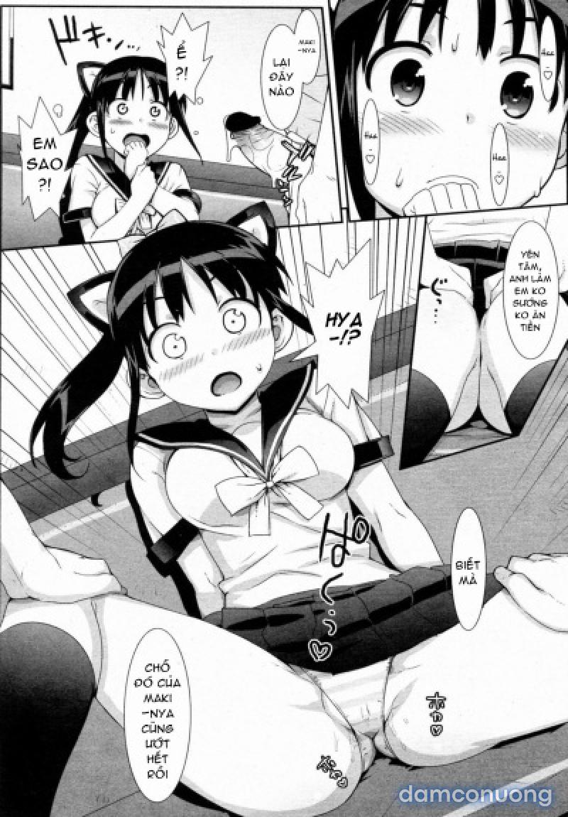 Idol Sister 