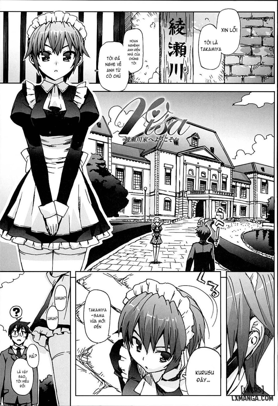 Idol Sister 