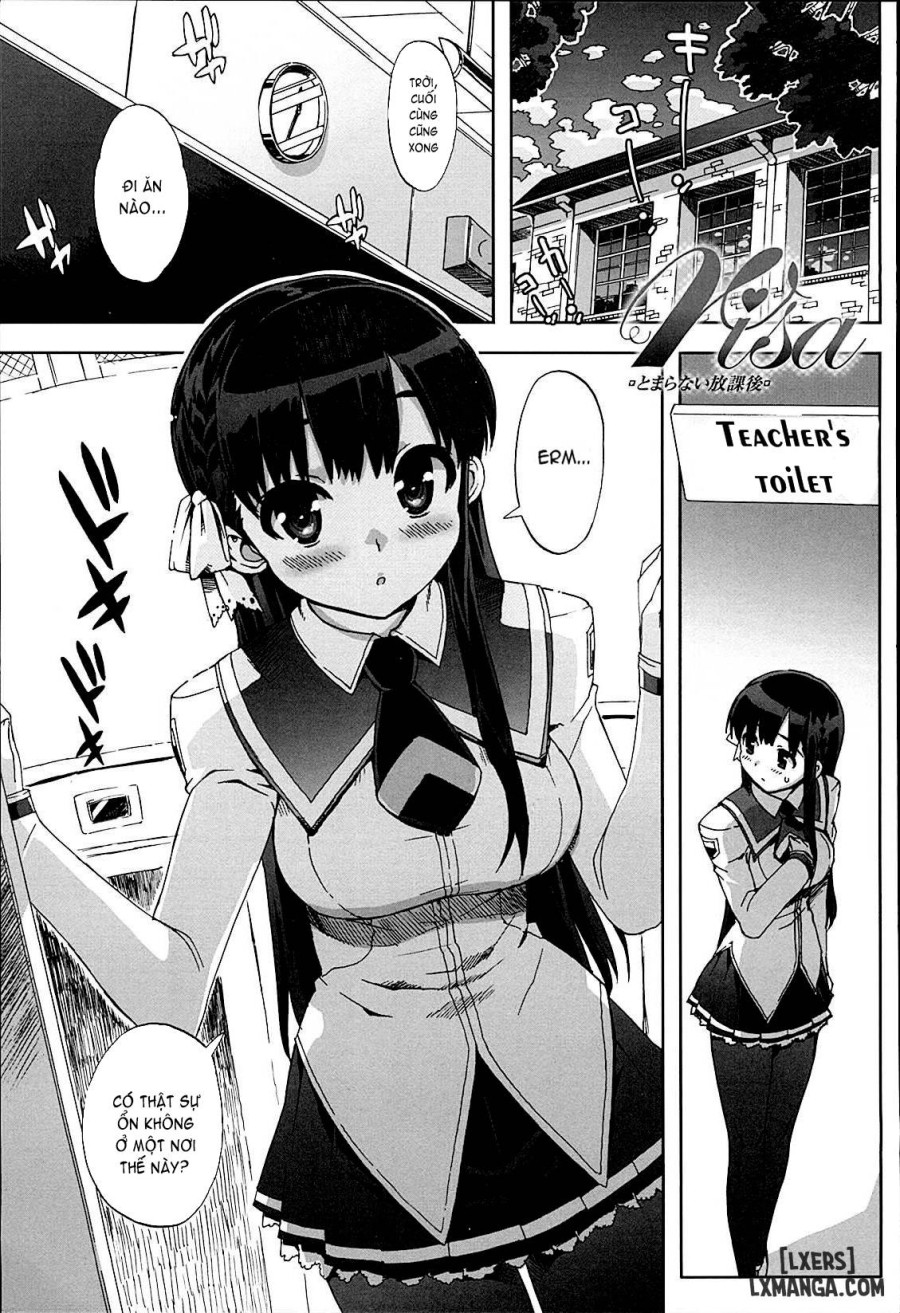 Idol Sister 