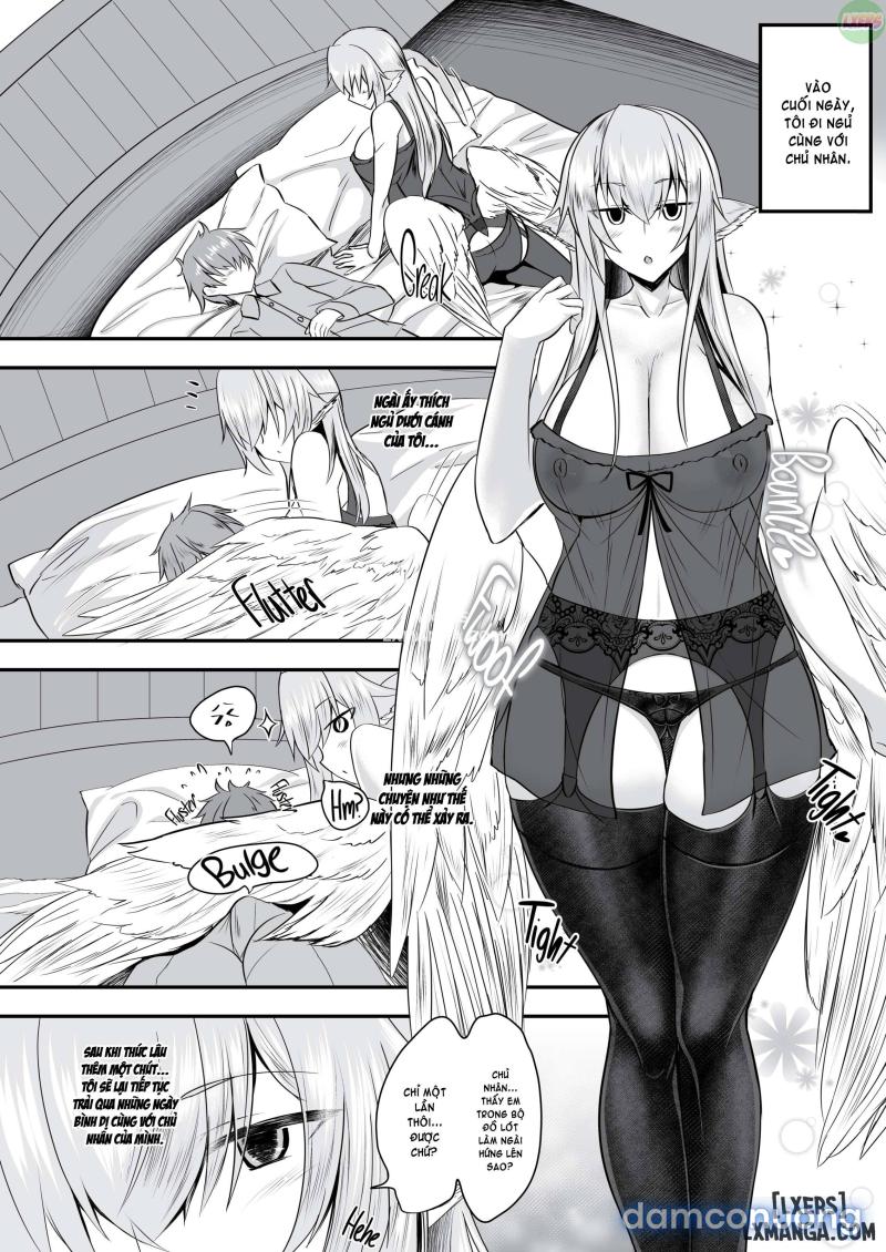 Feathery Maid Miss Yachiyo 