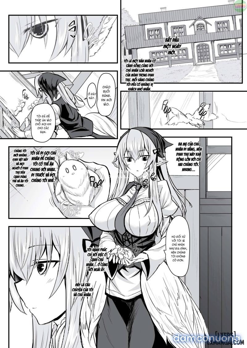 Feathery Maid Miss Yachiyo 