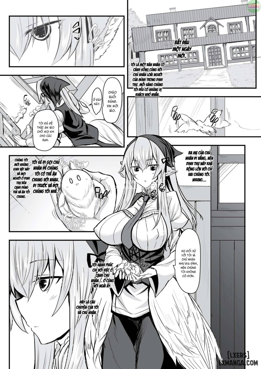 Feathery Maid Miss Yachiyo 