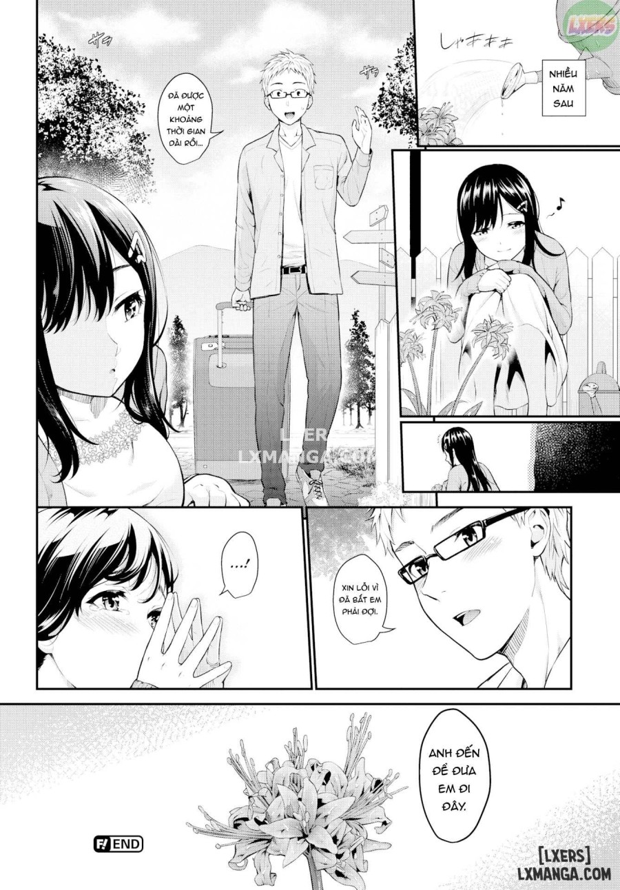 Pure Love Memory 