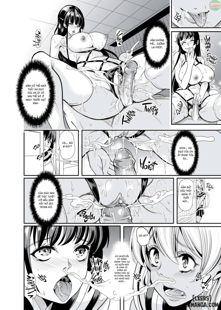 Smells Like Harem 